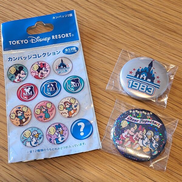 【2点セット】ディズニー チア 缶バッジ 1983年 シークレット Cheer Together ミッキー ミニー