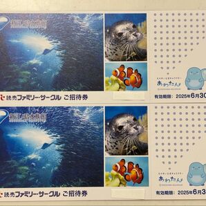 新江ノ島水族館 ご招待券 2枚 江ノ島水族館 招待券