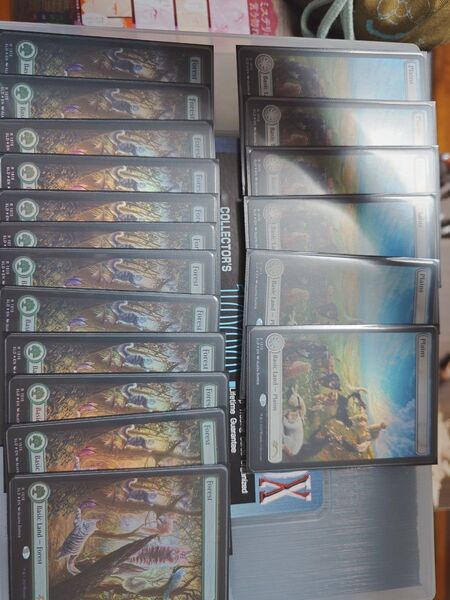 Secret Lair Series 森 平地 MTG