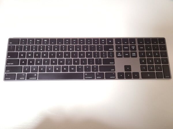 Apple Magic Keyboard A1843 US配列 現状渡し
