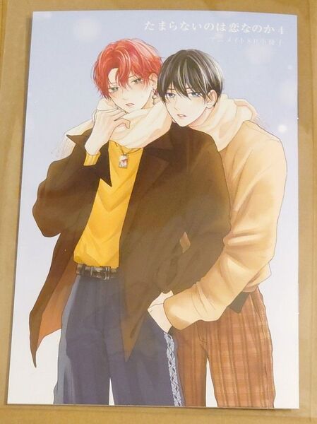 たまらないのは恋なのか 空華みあ アニメイト 特典 小冊子