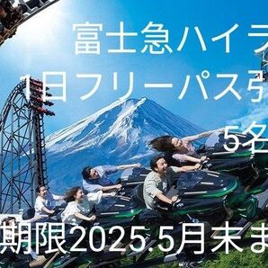 富士急ハイランド フリーパス引換券 5名様分