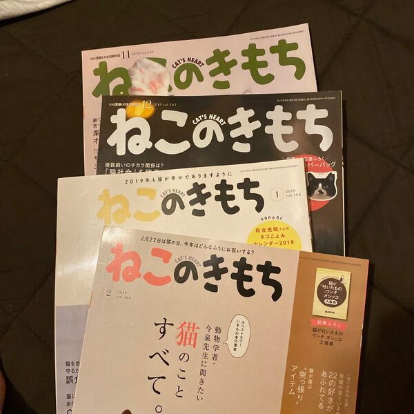 雑誌 ねこのきもち4冊セット 2018年 2019年