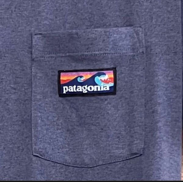 Sサイズ パタゴニア Patagonia 半袖Tシャツ 胸ポケット ネイビー