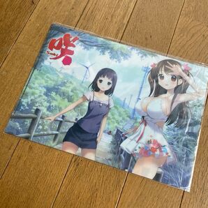 2014 ヤングガンガン 2月21日号 No.04 特別付録 咲 saki クリアファイル B5サイズ 未開封
