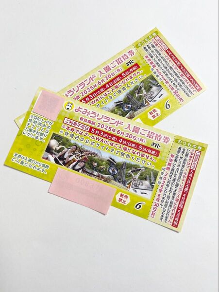2名様分 よみうりランド 入園ご招待券+乗り物券 有効期限2025.6.30. ペアチケット のりもの券付き入園無料券