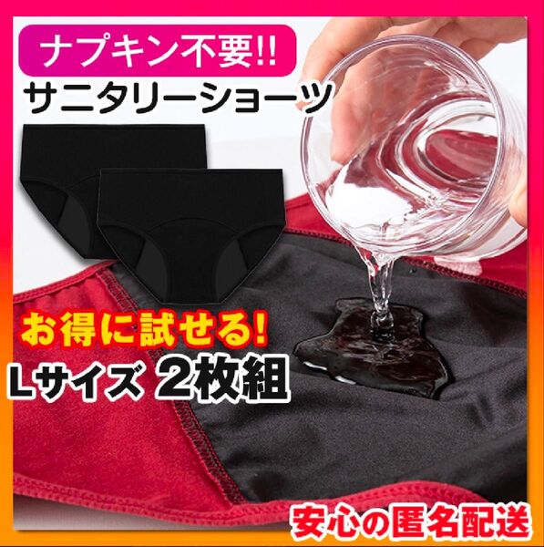 吸水ショーツ L 2枚組 黒 サニタリーショーツ 尿漏れ防止 ナプキン不要 防災グッズ 生理用品 生理用ショーツ