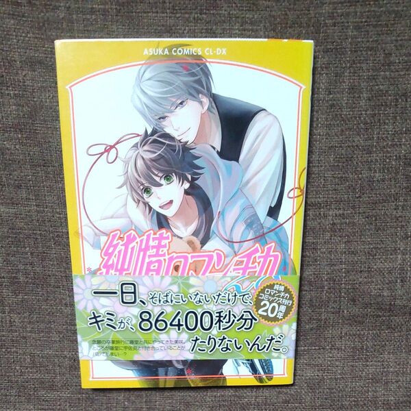 純情ロマンチカ 28 中村春菊