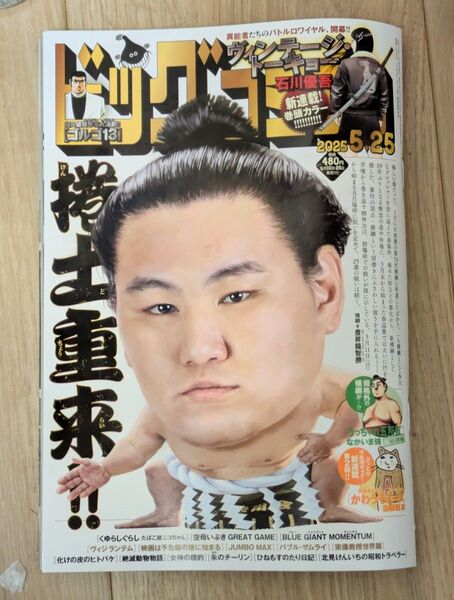 5月10日発売 ビッグコミック