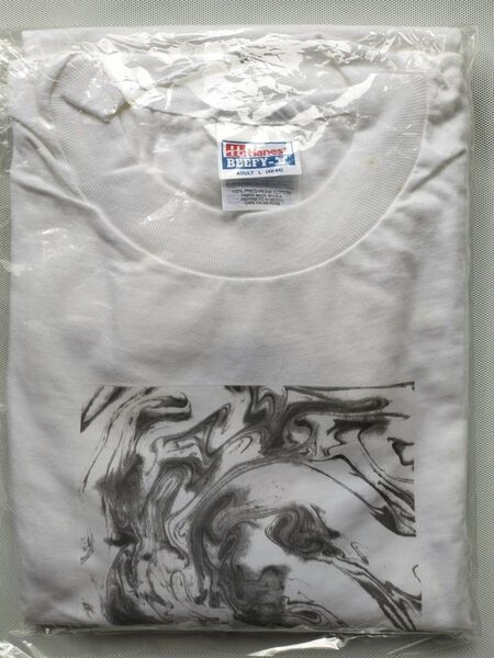 訳あり Hanes ヘインズ Beefy-T ビンテージTシャツ