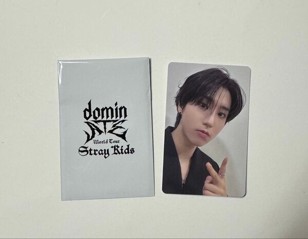 Stray Kids World Tour dominATE JAPAN 1万円 購入特典 トレカ ハン スキズ