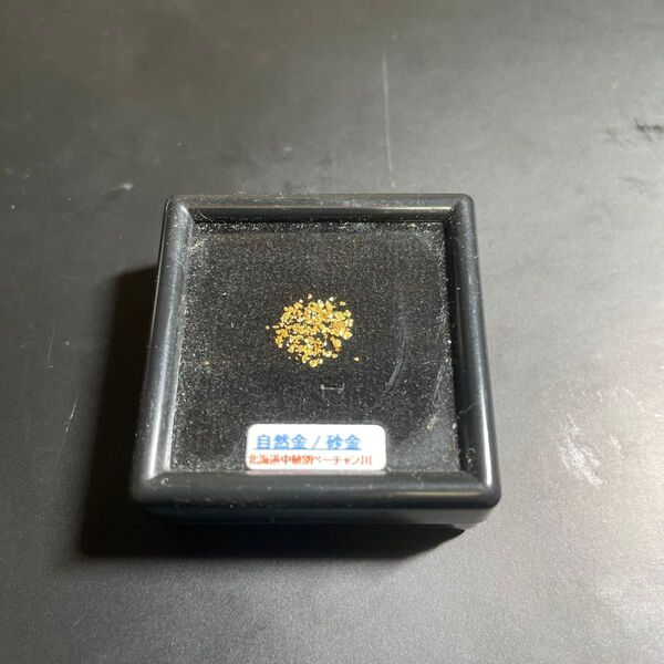 砂金 北海道 ベーチャン川