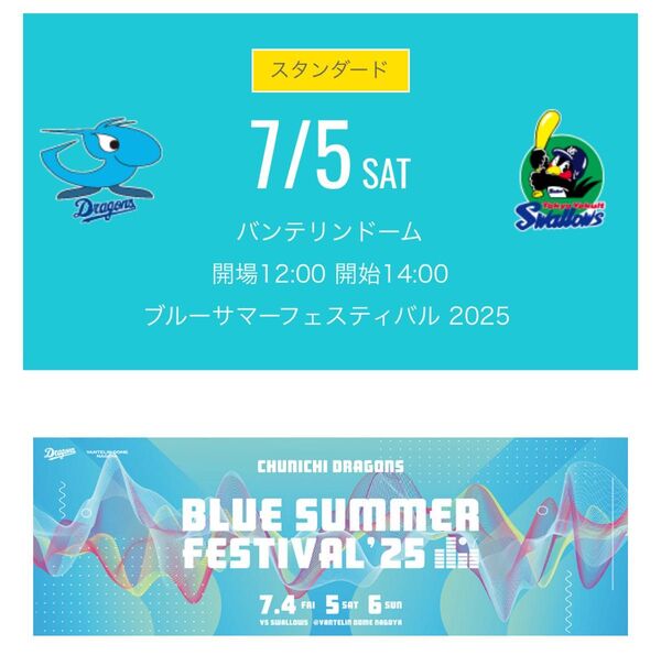 中日ドラゴンズチケット 7/5土 ドラゴンズ内野応援席