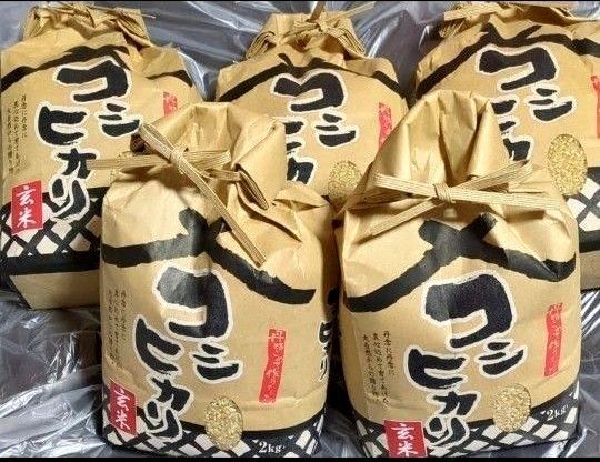 【玄米】コシヒカリ富山県 2kg×5袋=合計10kg 送料込み