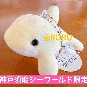 【神戸須磨シーワールド限定】シャチぬいぐるみマスコット フローラルホワイト