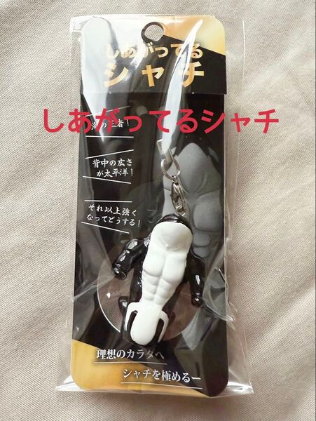 【神戸須磨シーワールド限定】しあがってるシャチ ストラップ キーホルダー 新品