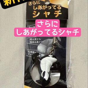 NEW!「さらに しあがってるシャチ」 新作です 新品未開封 須磨シーワールド