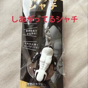 【神戸須磨シーワールド限定】しあがってるシャチ ストラップ キーホルダー 新品