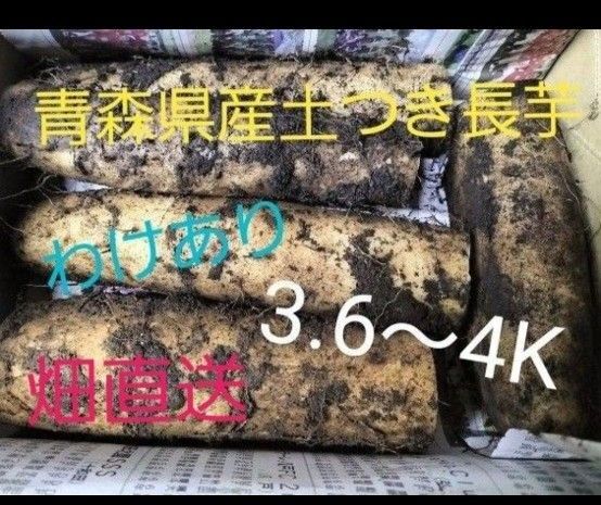 青森県産☆土付き長芋☆60サイズ詰め詰め