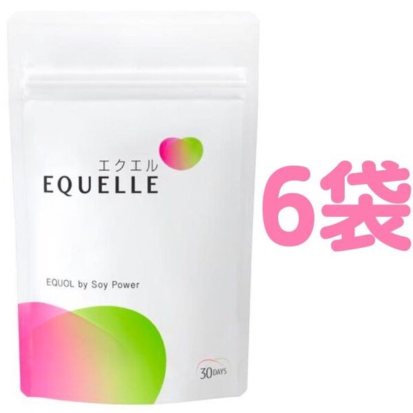 【合計180日分】大塚製薬 エクエル パウチ 30日分(120粒)×6袋