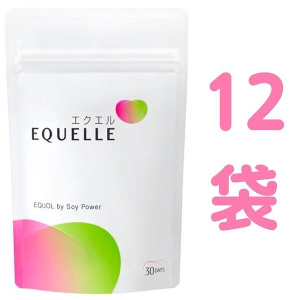 【合計360日分】大塚製薬 エクエル パウチ 30日分(120粒)×12袋