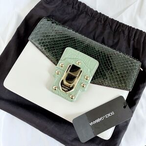 美品 Dolce&Gabbana ドルチェ&ガッバーナ ショルダーバッグ ワンショルダー ルチア レザー パイソン ゴールド金具