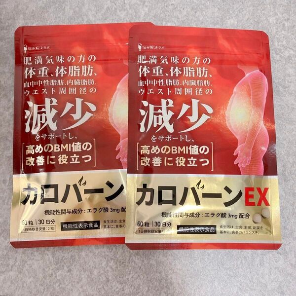 2袋セット カロバーンEX 30日分 肥満気味 体脂肪 血中中性脂肪 内臓脂肪