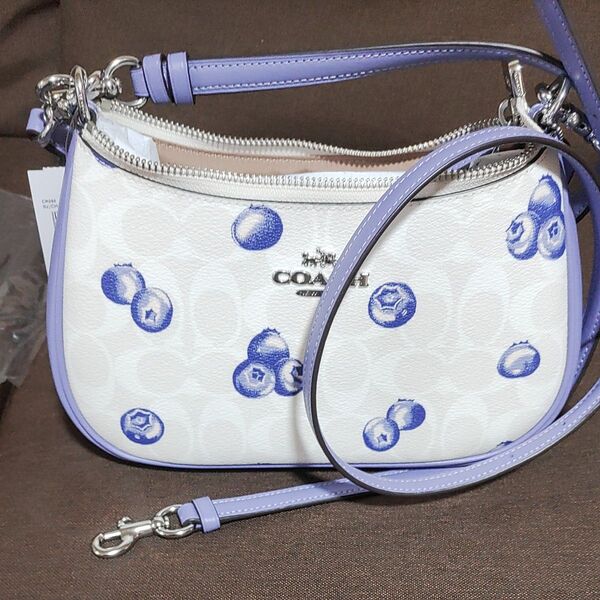 コーチ COACH ショルダーバッグ ハンドバッグ レザー バッグ ショルダー 2way ポピー シグネチャー