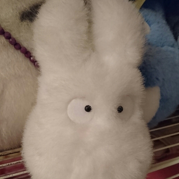 ぬいぐるみ トトロ小