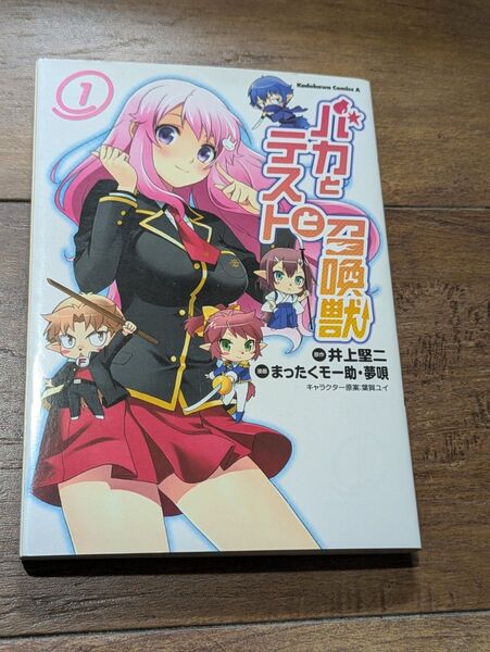 角川書店『バカとテストと召喚獣』vol.1〜vol.11のセット