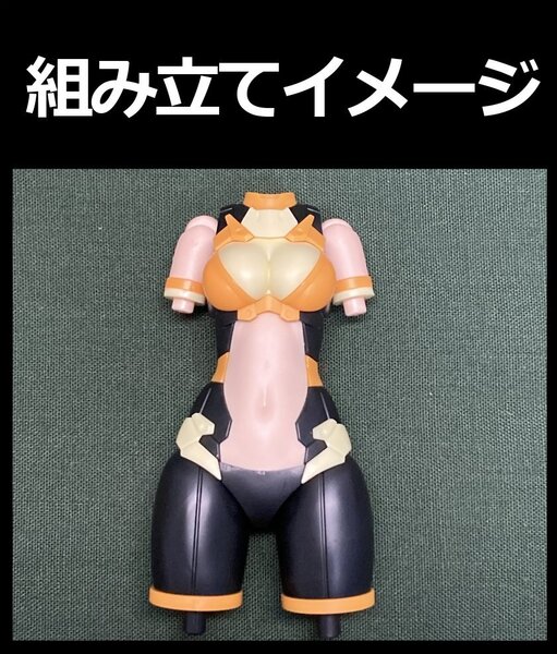 30MS リシェッタ(フリージアウエア)※ボディのみ(胴体、肩、太もも、リングパーツのみ)