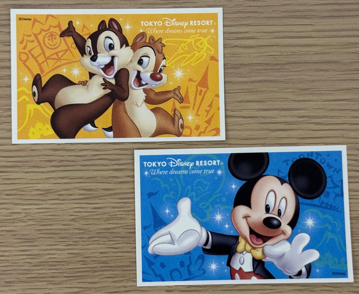 90年代ディズニーランドパスポート未使用美品