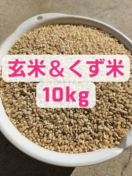 餌 鳥エサ 玄米&くず米 エサ 10キロ 鳥エサ 米 玄米 くず米 餌