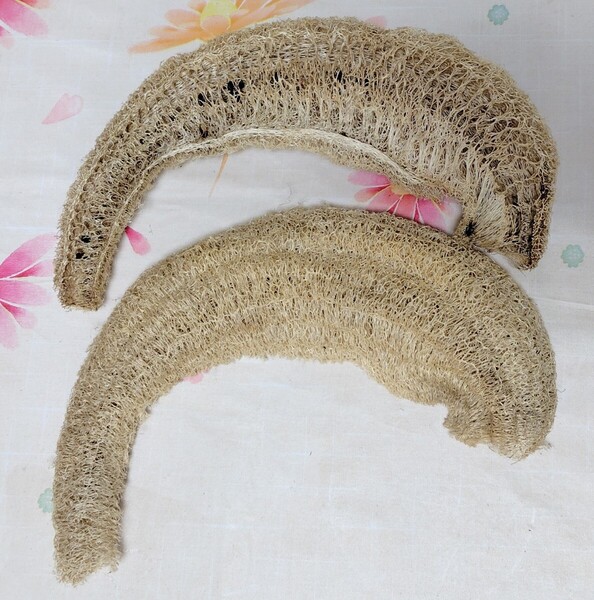 天然へちまたわし 硬め 長さ30cm〜40cm 縦割り×2(1本分) 農薬未使用 無漂白 送料無料 他の形や硬さもございます
