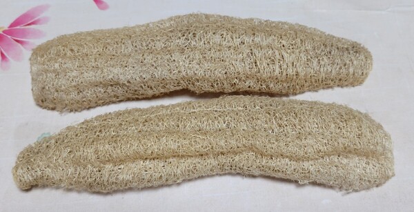 天然へちまたわし 柔らか過ぎず硬過ぎず 長さ約28cm 縦割り×2(1本分) 農薬未使用 無漂白 送料無料 他にも色々な形や硬さもございます