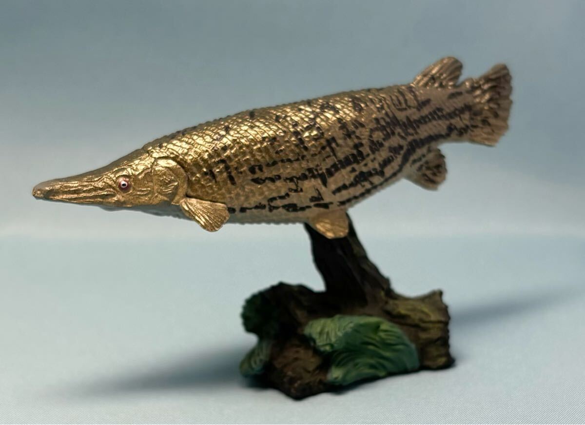 魚フィギュアばら売り 楽天市場】動物 リアル フィギュア 立体図鑑フレッシュ