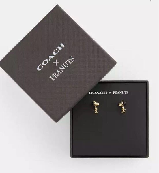 送料込専用袋付●新品●完売品 COACH X PEANUTS スヌーピー ピアスC ゴールド 1.3×0.9cm 2025新作 ピーナッツ コーチ