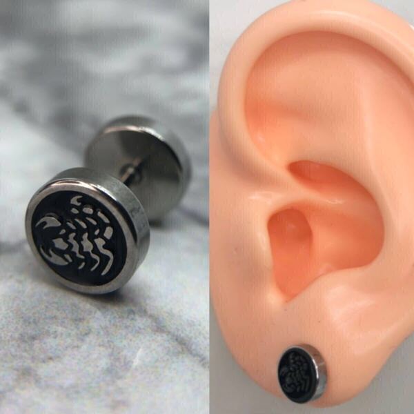 【新品】スタッド ピアス 18g スコーピオン サソリ 円 プレート サークル シルバー アクセサリー 片耳用 韓国 hiphop メンズ ストリート