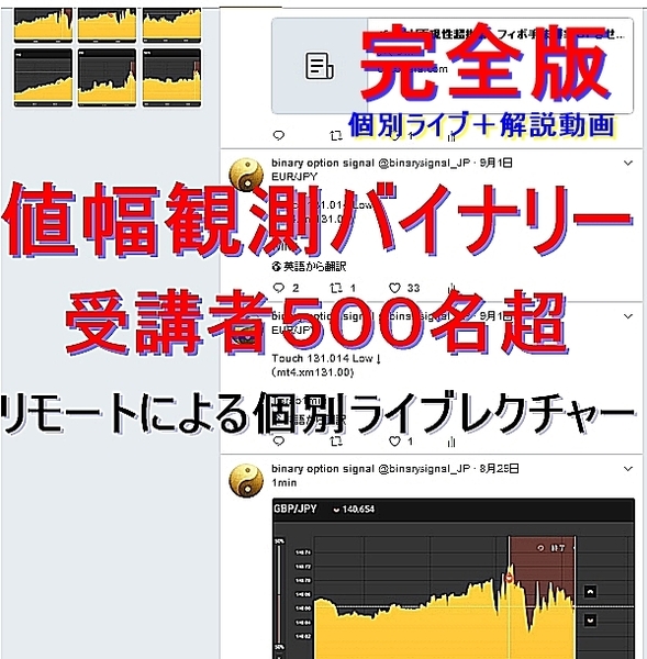 2025最新版 BO,FX 値幅観測手法 個別指導+動画の完全版 はるとみ手法
