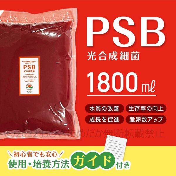 【PSB 光合成細菌 1800ml】メダカ 青水 針子 ミジンコ ゾウリムシ培養 バクテリア 生クロレラ 金魚 針子メダカ卵稚魚 めだかに