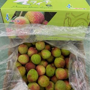 クール便対応可能 生ライチ グリーンライチ 妃子笑 1kg