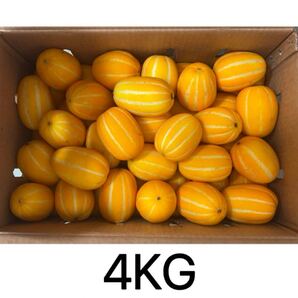 クール便対応可能 韓国産 チャメ 4kg イエローメロン 韓国 メロン 果物
