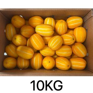 クール便対応可能 韓国産 チャメ 10kg イエローメロン 韓国 メロン 果物
