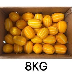 クール便対応可能 韓国産 チャメ 8kg イエローメロン 韓国 メロン 果物