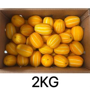 クール便対応可能 韓国産 チャメ 2kg イエローメロン 韓国 メロン 果物