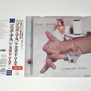 送料無料 国内盤 解説 歌詞 対訳 帯付き CD Sonic Youth ソニック・ユース A Thousand Leaves ア・サウザンド・リーヴズ Sunday Hoarfrost