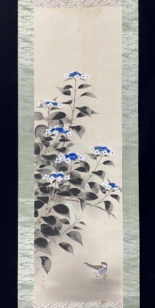美品 掛け軸2本 中村松雲作 あざみ図、新井月華作 紫陽花に燕図 Yahoo!オークション -「掛軸 紫陽花」(日本画) (絵画)の落札相場