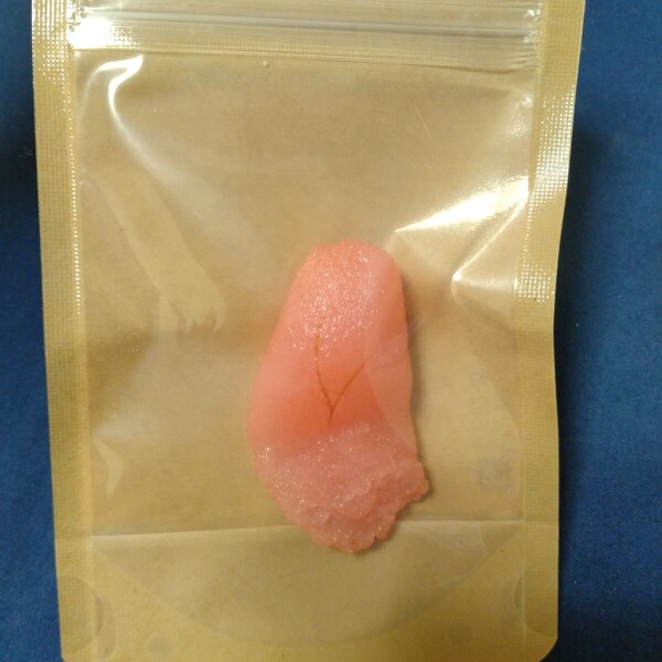 食品サンプル 明太子