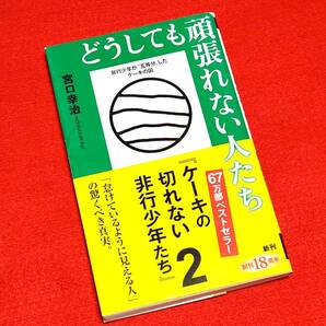 どうしても頑張れない人たち ケーキの切れない非行少年たち 2 (新潮新書 903) 宮口幸治/著