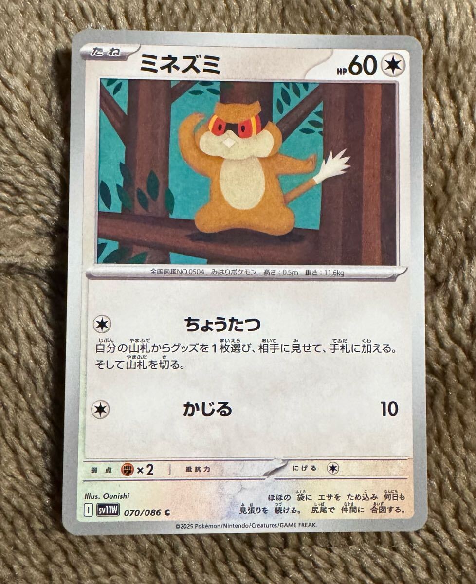 2025年最新】Yahoo!オークション -ミネズミ ポケモンの中古品